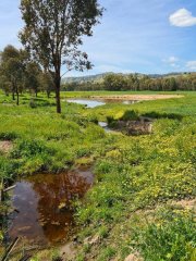 Kooringle_gully_before.jpg