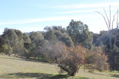 D - 2017-08 - Lachlan River West