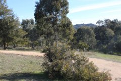 F - 2017-08 - Lachlan River West